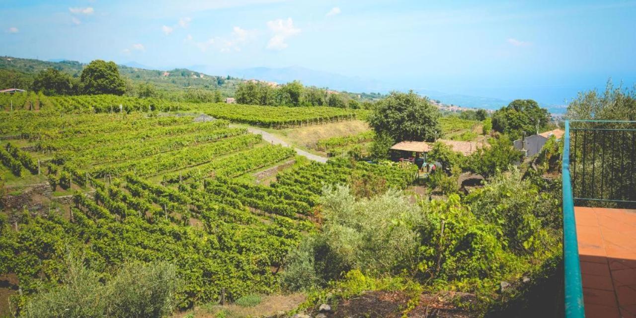 Le Case Del Merlo Turismo Rurale มีโล ภายนอก รูปภาพ