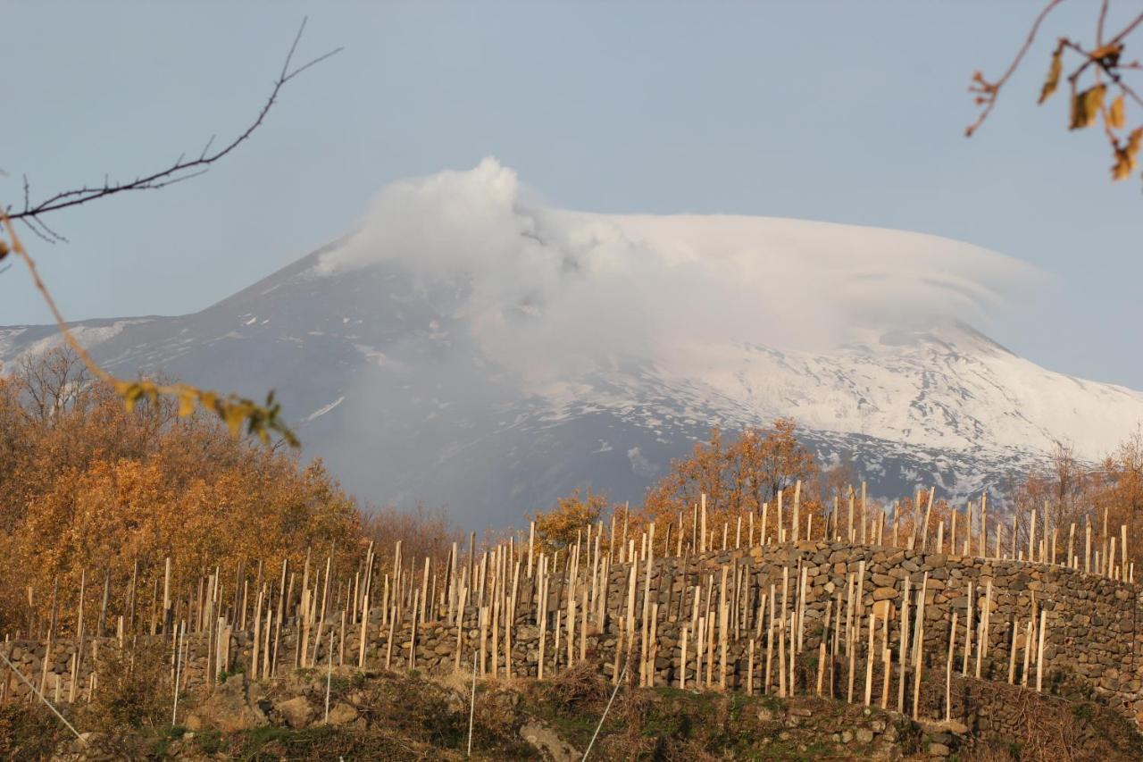 Agriturismo Le Case Del Merlo มีโล ภายนอก รูปภาพ