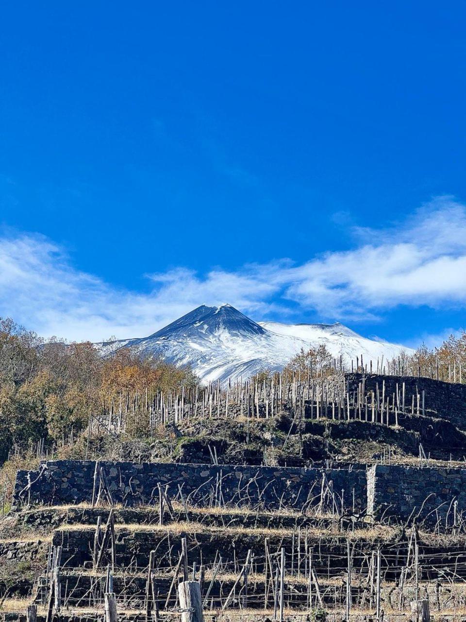 Le Case Del Merlo Turismo Rurale มีโล ภายนอก รูปภาพ