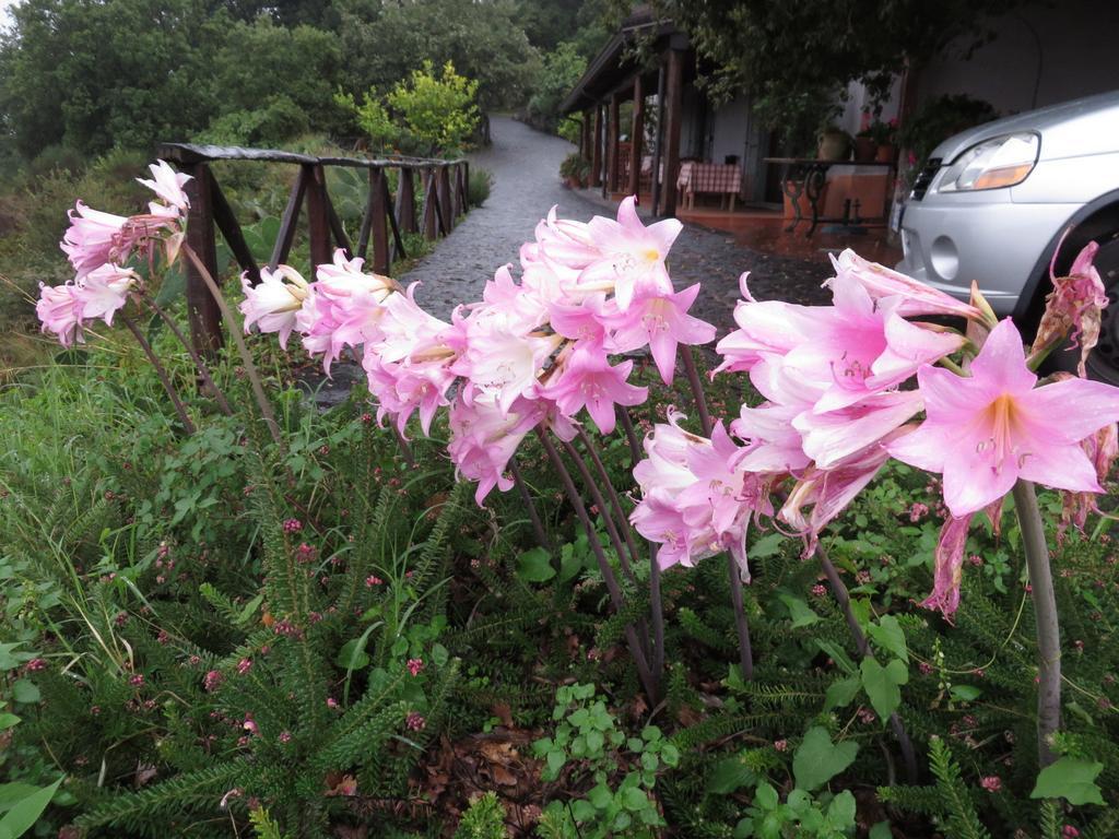 Agriturismo Le Case Del Merlo มีโล ภายนอก รูปภาพ