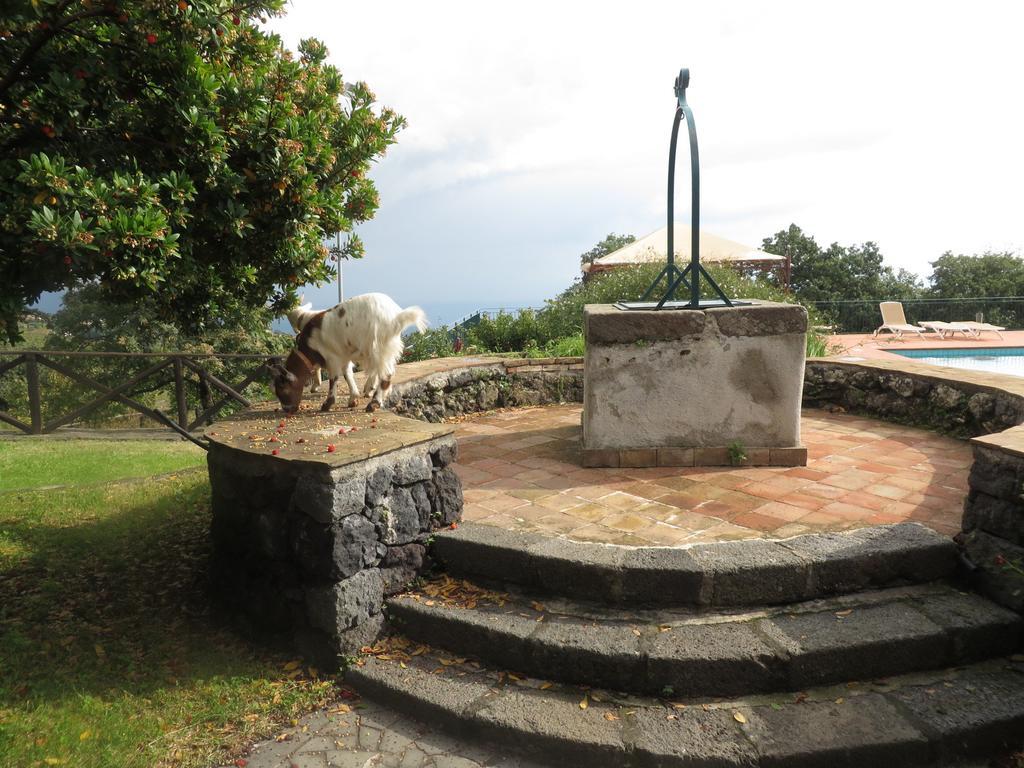 Le Case Del Merlo Turismo Rurale มีโล ภายนอก รูปภาพ