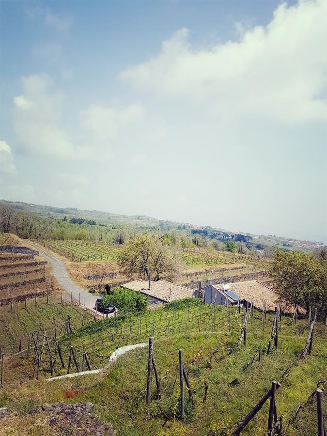 Le Case Del Merlo Turismo Rurale มีโล ภายนอก รูปภาพ